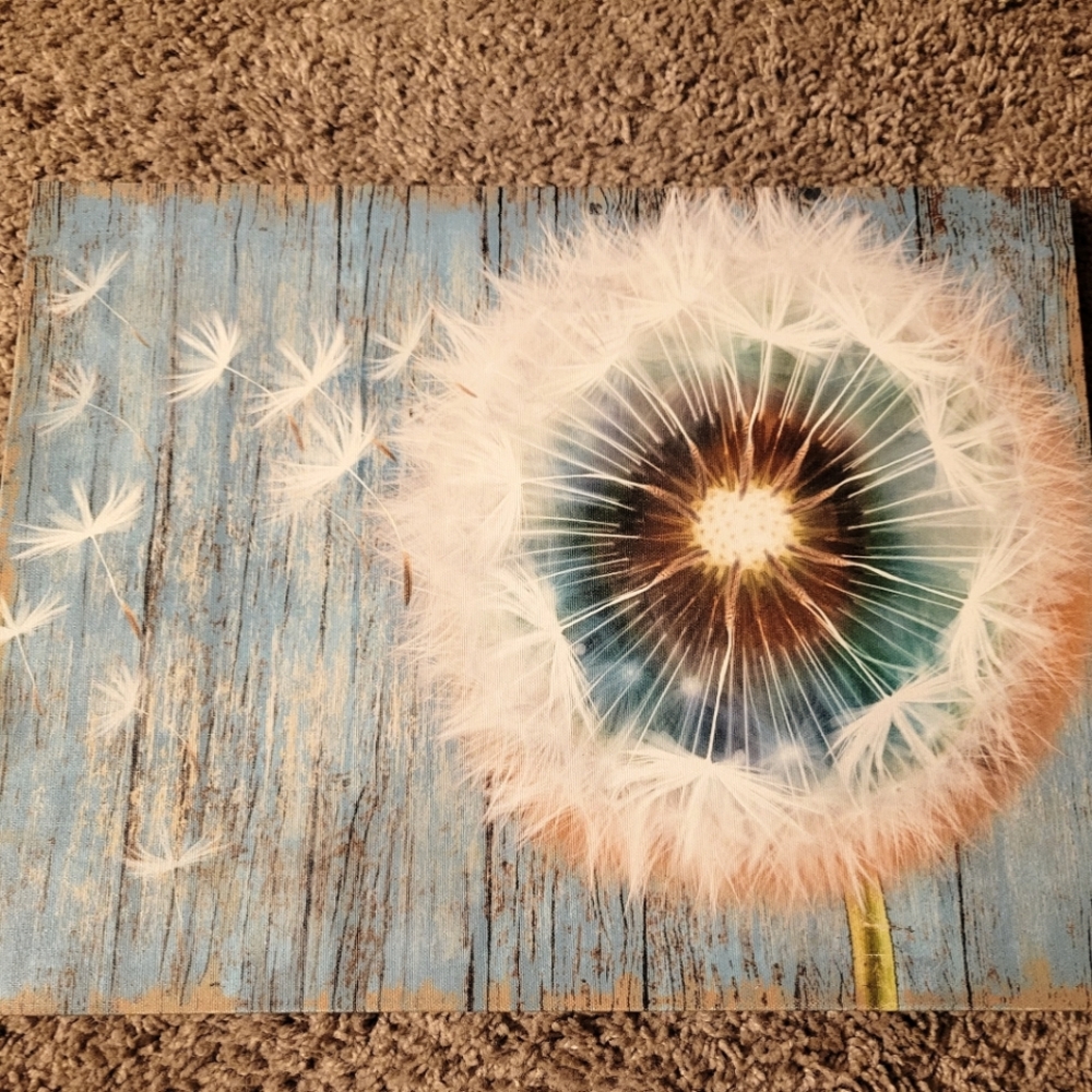 Dandelion Portrait